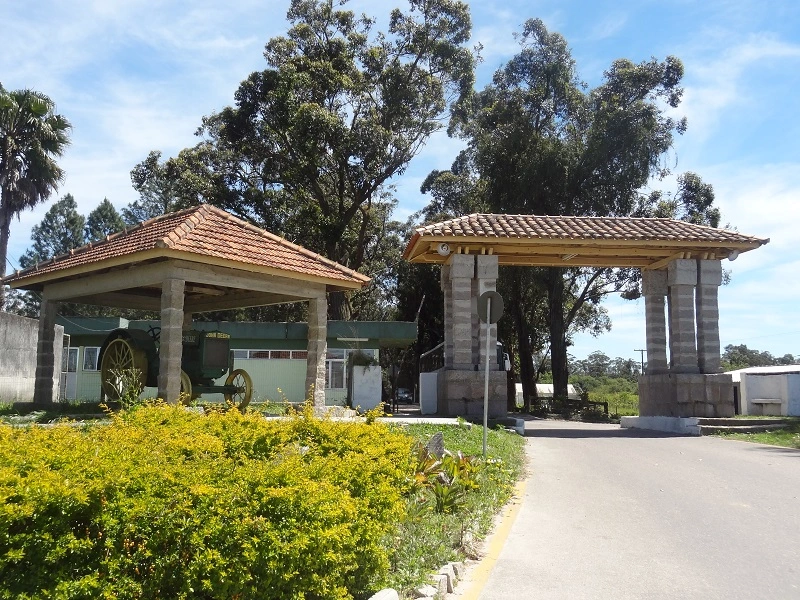 Entrada CAVG